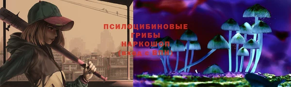 твердый Новозыбков