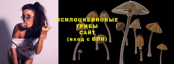 сатива Нея