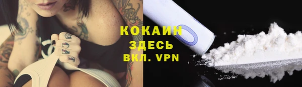 твердый Новозыбков