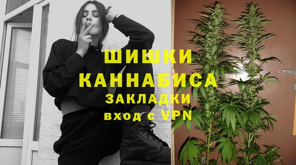 твердый Новозыбков