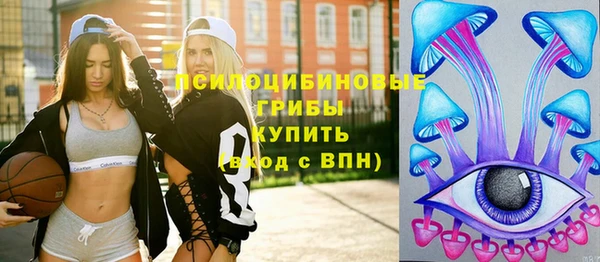 прущая мука Новодвинск