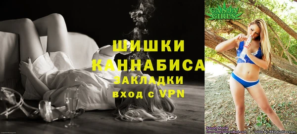 индика Нефтекумск