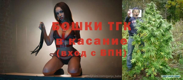 твердый Новозыбков