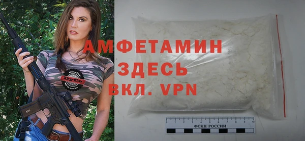 твердый Новозыбков