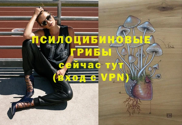 прущая мука Новодвинск