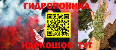 СК Абакан