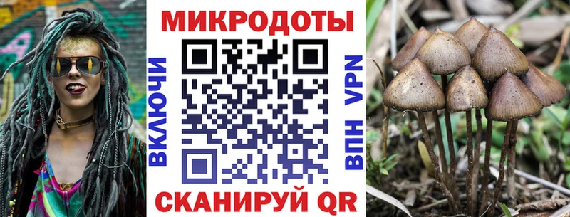 Псилоцибиновые грибы мицелий  Зима 