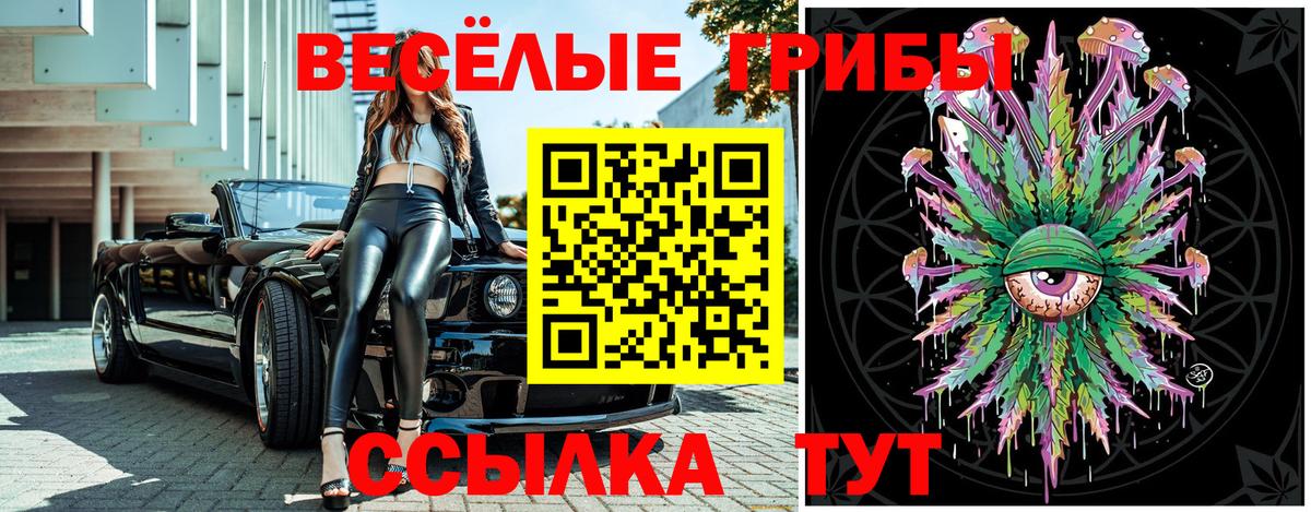 Псилоцибиновые грибы Magic Shrooms Зима