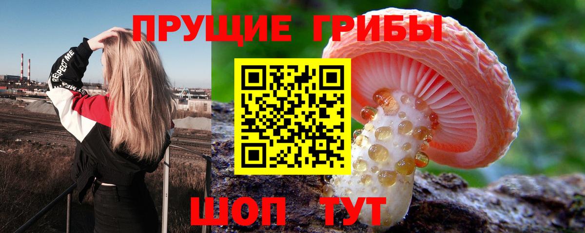 Галлюциногенные грибы ЛСД Зима