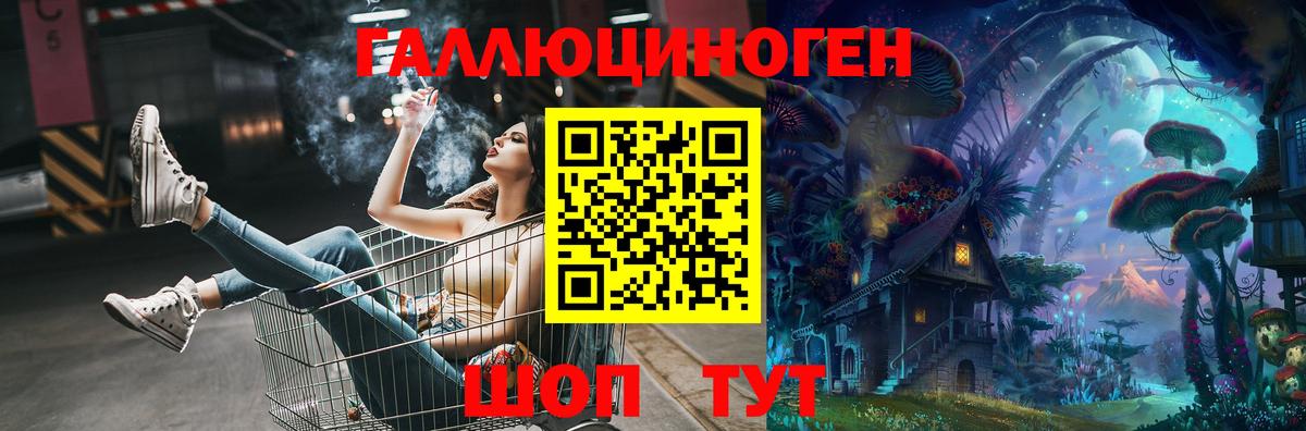 Зима  Псилоцибиновые грибы GOLDEN TEACHER  Вход с VPN  Псилоцибиновые грибы ЛСД 